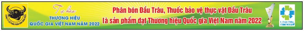 Lưu Thị Trang Thảo