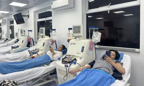 3 người Việt có nhóm máu cực hiếm, tình nguyện hiến để cứu sống bệnh nhân người Anh