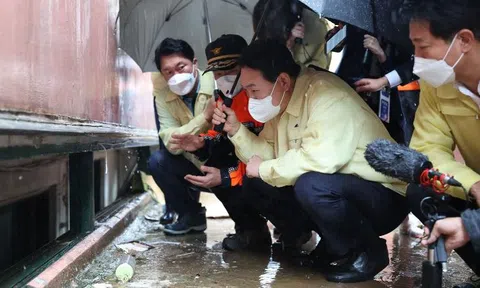 Thủ đô Seoul quyết di dời người dân trong các nhà hầm 'Parasite' sau thảm họa ngập lụt